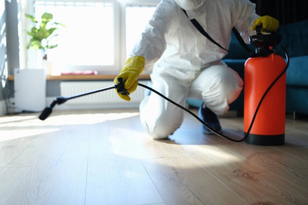 Best Insect Control  in Morton, WA
